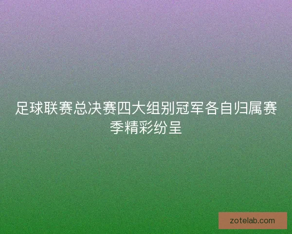 足球联赛总决赛四大组别冠军各自归属赛季精彩纷呈
