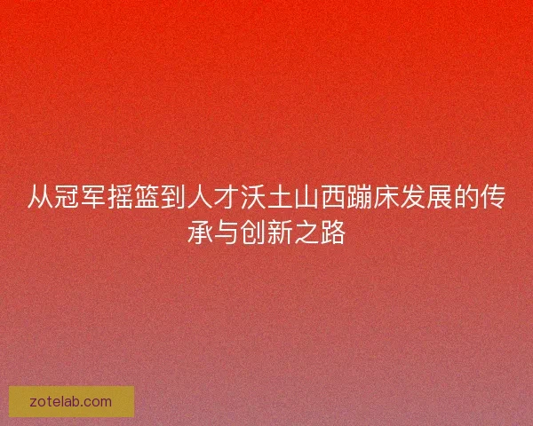 从冠军摇篮到人才沃土山西蹦床发展的传承与创新之路