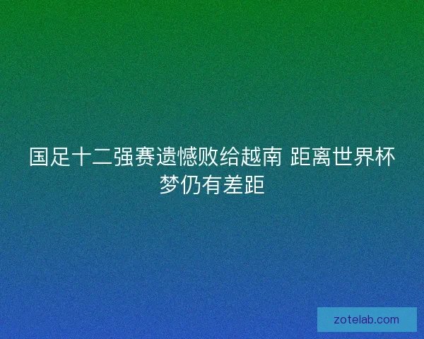 国足十二强赛遗憾败给越南 距离世界杯梦仍有差距